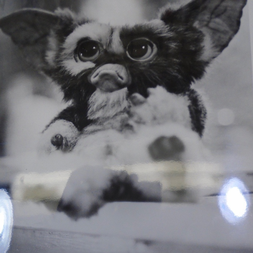 Meet your Posher, Marena